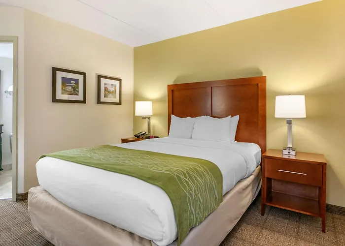 Comfort Inn Chattanooga Downtown Southside